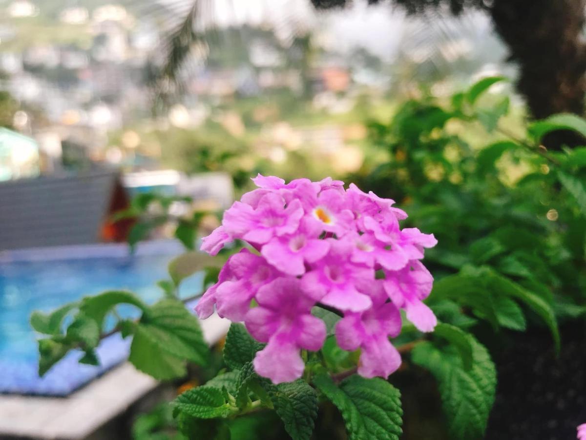 Nha Tren May - Homstay Tam Ðảo Exterior foto